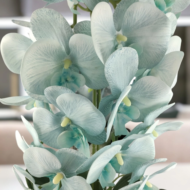 Additional Image for Nagyméretű kétszálas világoskék orchidea OR212KE