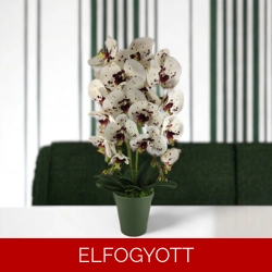 Nagyméretű kétszálas fehér, burgundi élethű orchidea OR214FHBO