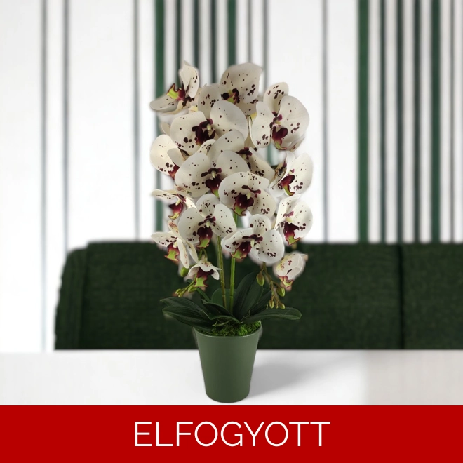 product Image for Nagyméretű kétszálas fehér, burgundi élethű orchidea OR214FHBO
