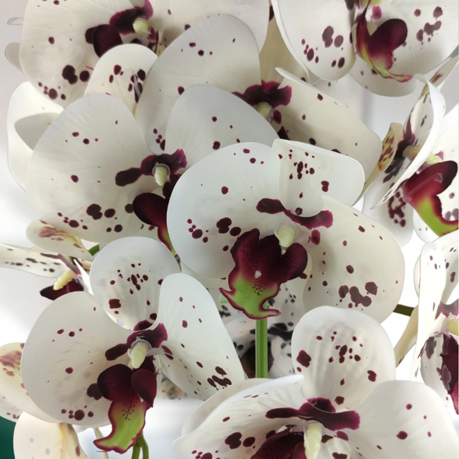Additional Image for Nagyméretű kétszálas fehér, burgundi élethű orchidea OR214FHBO