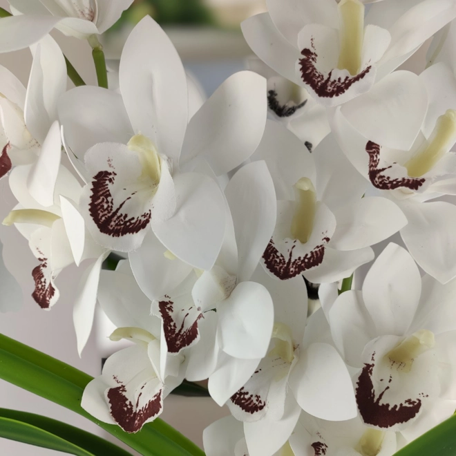 Additional Image for Fehér kétszálas élethű csónakorchidea ORC206FH