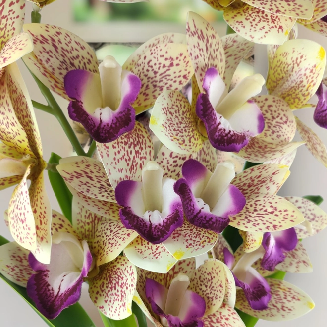 Additional Image for Sárga, lila kétszálas élethű csónakorchidea ORC208SALI
