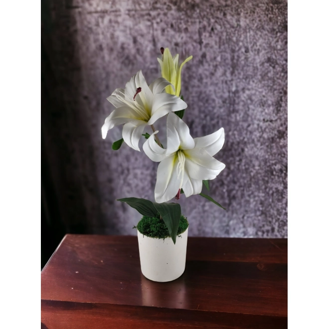 product Image for Élethű fehér-sárga cirmos liliom