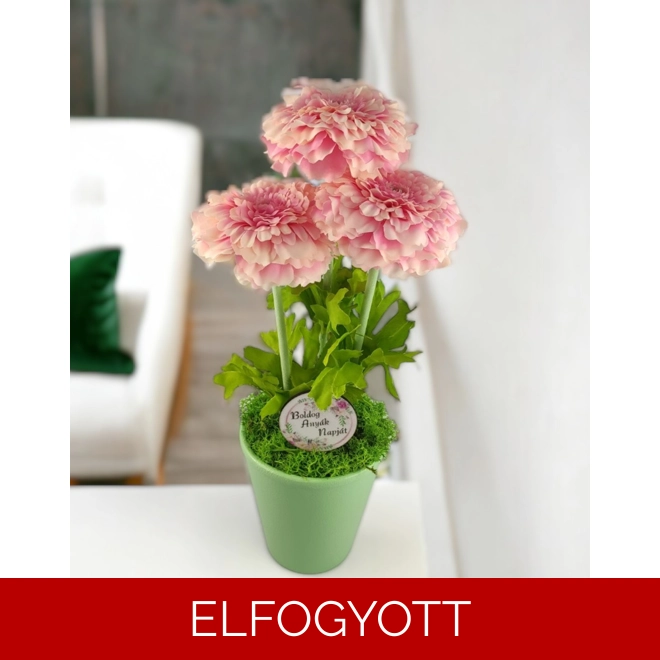 product Image for Rózsaszín cíniák kaspóban CIN302RS