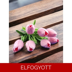 Lazacrózsaszín tulipánok KTUL703LZ