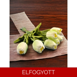 Krémszínű, zöldes tulipánok KTUL707KRZO