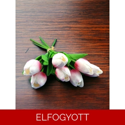 Pink, fehér tulipánok KTUL709PKFH
