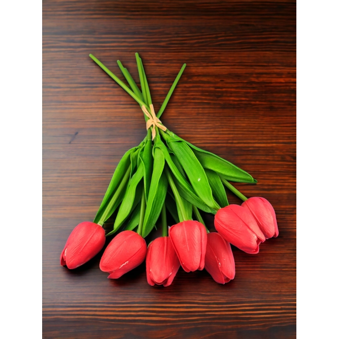 Additional Image for Piros tulipánok KTUL711PS