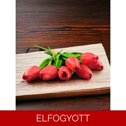 Piros tulipánok KTUL711PS