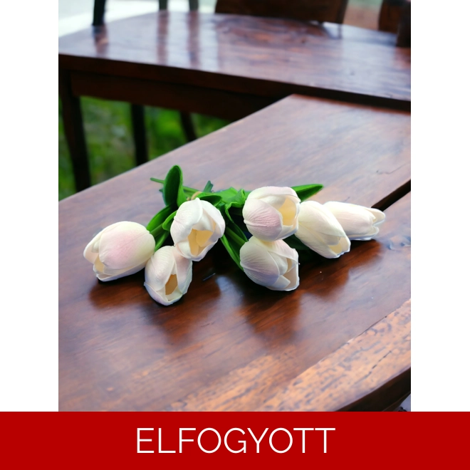 product Image for Fehér, rózsaszín tulipánok KTUL712FHRS