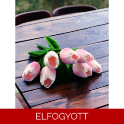 Rózsaszín cirmos tulipánok KTUL714RS