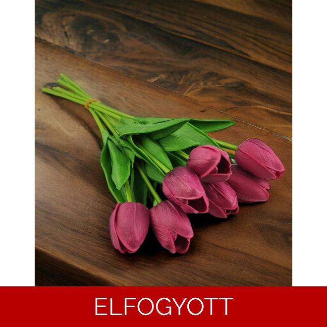 product Image for Bordó tulipánok KTUL717BO