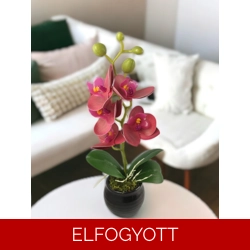Burgundi mini orchidea kerámiakaspóban