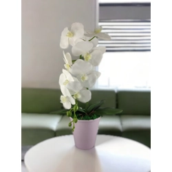 Nagyméretű egyszálas orchidea OR110FH