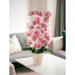 Nagy méretű élethű rózsaszín cirmos kétszálas orchidea OR204FHRS
