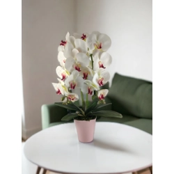 Nagy méretű kétszálas élethű fehér, pink orchidea OR210FHPK