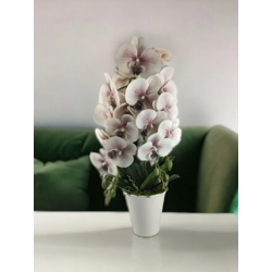 Nagyméretű kétszálas hamvas mályva cirmos orchidea OR211FHMA