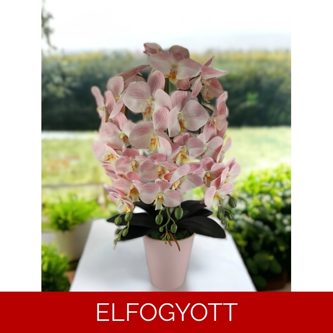 product Image for Nagyméretű háromszálas púderrózsaszín élethű orchidea OR301RS