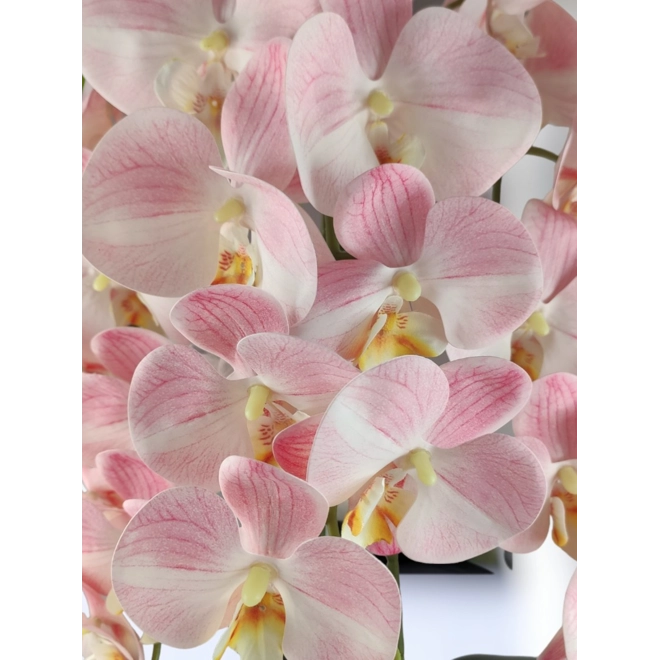 Additional Image for Nagyméretű háromszálas púderrózsaszín élethű orchidea OR301RS