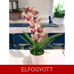 Nagy méretű rózsaszín, pink csónak orchidea ORC105PKRS