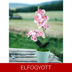 Ciklámen és fehér színű kétágú élethű orchidea színes agyagkaspóban ORK213CI
