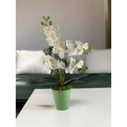 Négyágú fehér kisméretű orchidea ORK405FH
