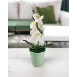 Fehér mini orchidea ORM109FH