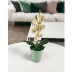 Fehér pöttyös mini orchidea ORM110BOFH