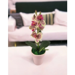 Krém-ciklámen orchidea ORM112KRCI