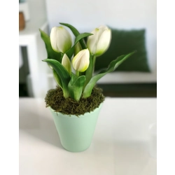 Élethű fehér tulipánok TUE523FH