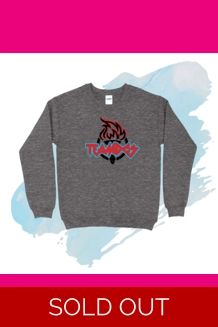 TEAMDCS 2020 large Gildan Sweatshirt