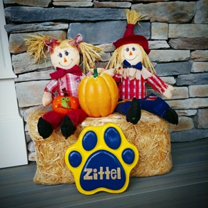 Paw Print Garden Stone