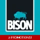 BISON WALLPAPER PASTE SPECIAL BOX ..