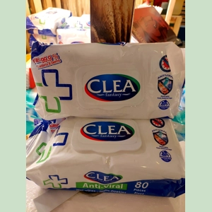 Anti-Bacterial Wipes