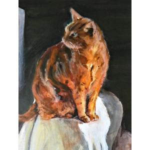 Monty the Cat Giclée Print Monty the Cat Giclée Print