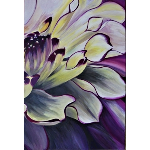 Purple Yellow Dahlia Purple Yellow Dahlia