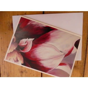 Red & White Dahlia card Red & White Dahlia card