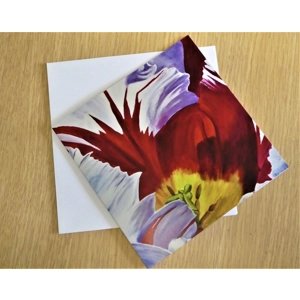 Red & White Tulip card Red & White Tulip card