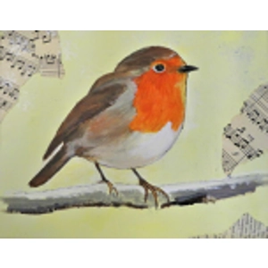 Right Robin Right Robin