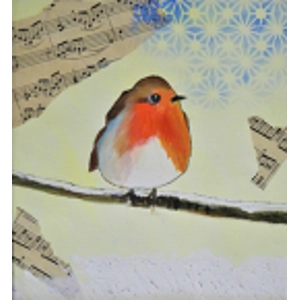 Front Robin Front Robin