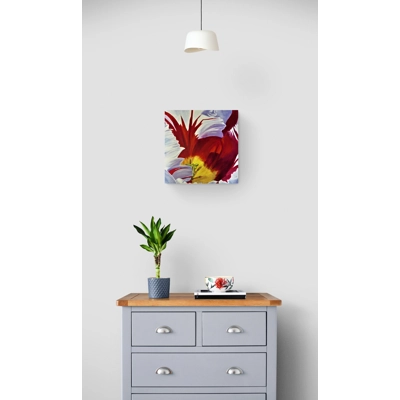 Red & White Tulip Red & White Tulip