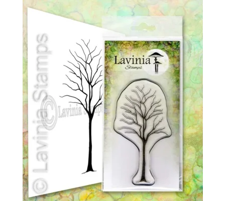 Birch LAV649