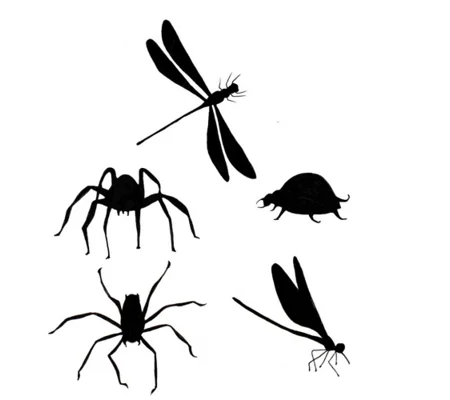 Bugs LAV156