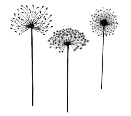 Dandelions LAV166