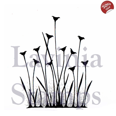 Fairy Buttercups LAV375