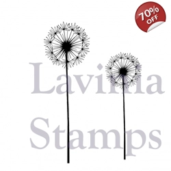 Fairy Dandelions LAV373