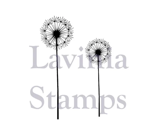 Fairy Dandelions LAV373
