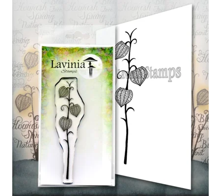 Fairy Lantern