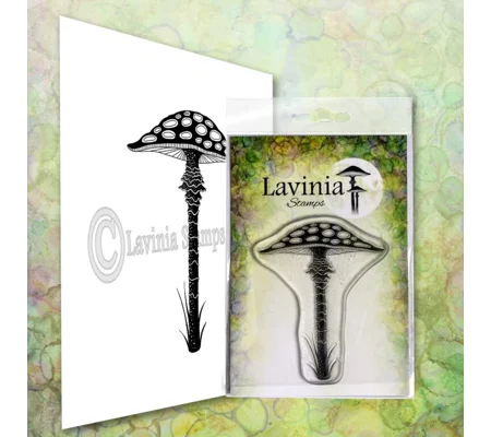 Fairy Toadstool