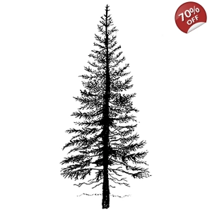 Fir Tree 1 LAV094